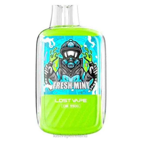 Fresh Mint